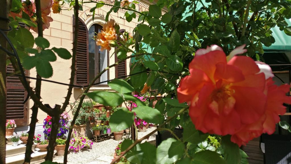 La Chicca B&B Сиена Екстериор снимка
