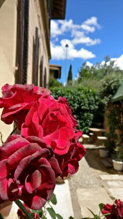 La Chicca B&B Сиена Екстериор снимка